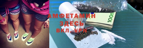 шишки Тихвин
