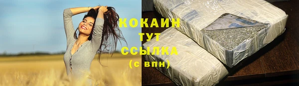 шишки Тихвин