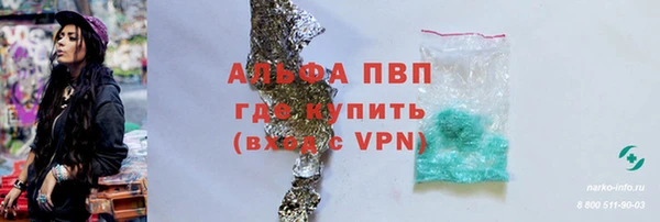 шишки Тихвин