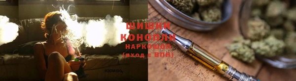 шишки Тихвин
