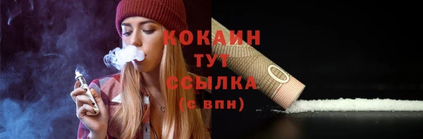 бошки Туринск