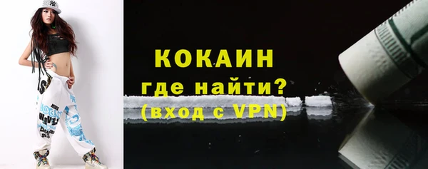 шишки Тихвин