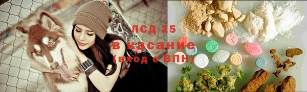 стафф Тобольск