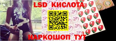 гидропоника Заволжье