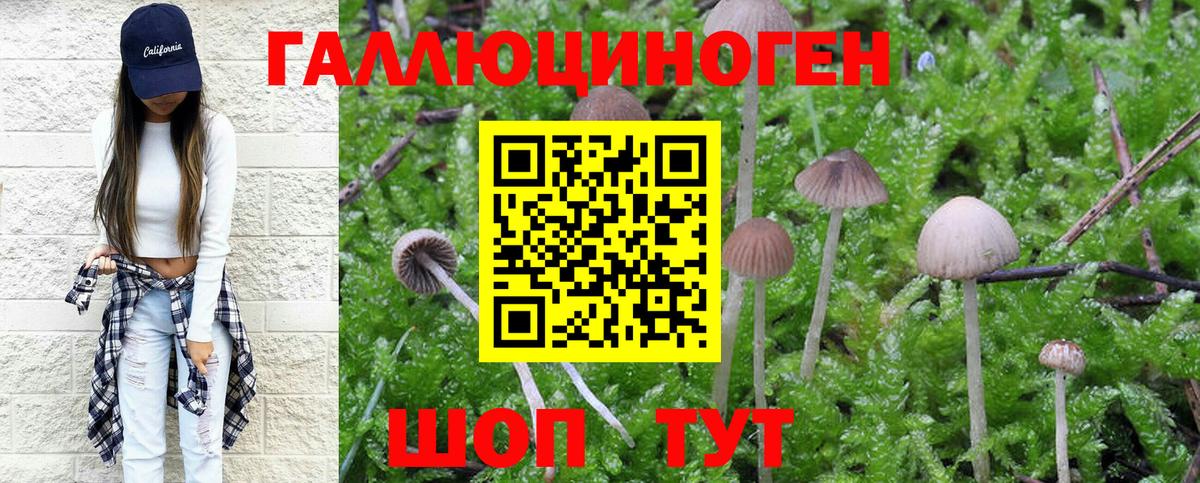 Галлюциногенные грибы Psilocybe  Вход с VPN  Галлюциногенные грибы Psilocybe  хочу   Нижневартовск 