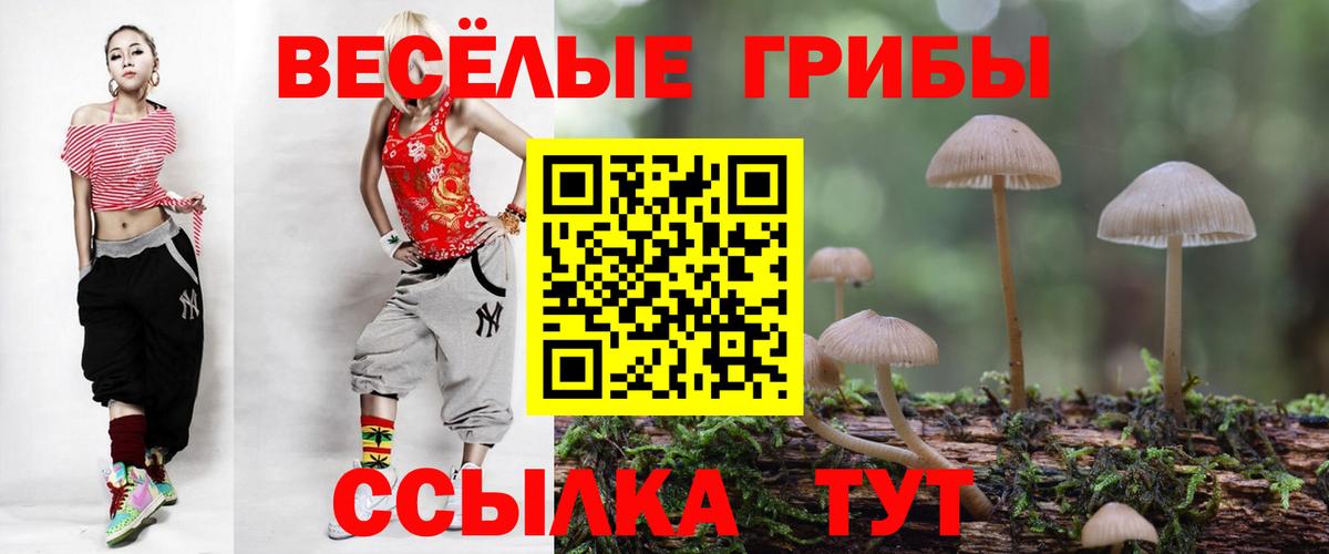 Псилоцибиновые грибы Psilocybe Нижневартовск