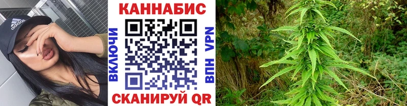 блэк спрут как войти  Нижневартовск  Канабис VHQ  наркотики 