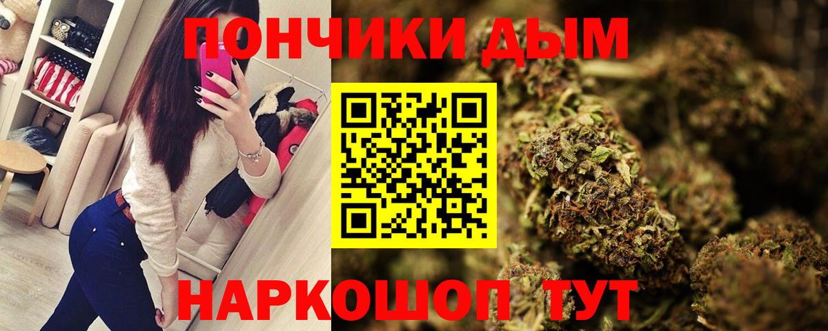 Конопля сатива  Бошки марихуана Ganja  Канабис планчик  Нижневартовск  Вход с VPN 